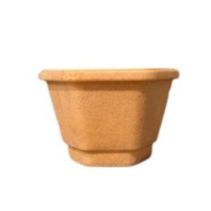 Vaso de Pasta