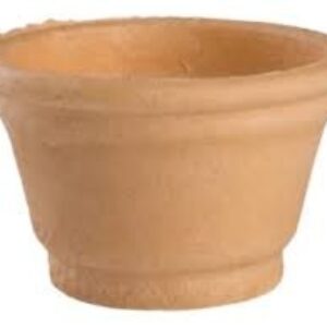 Lemon yampi Perdices